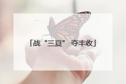 战“三夏” 夺丰收