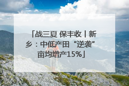 战三夏 保丰收丨新乡：中低产田“逆袭” 亩均增产15%