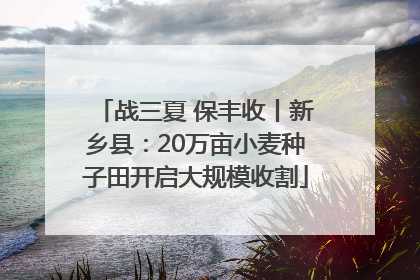 战三夏 保丰收丨新乡县：20万亩小麦种子田开启大规模收割