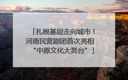 扎根基层走向城市！河南民营剧团首次亮相“中原文化大舞台”
