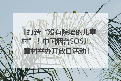 打造“没有院墙的儿童村”！中国烟台SOS儿童村举办开放日活动