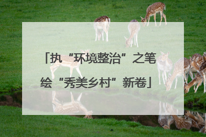 执“环境整治”之笔 绘“秀美乡村”新卷