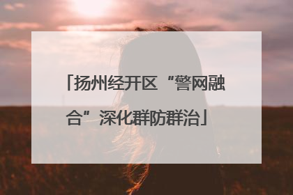 扬州经开区“警网融合”深化群防群治