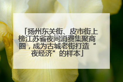 扬州东关街、皮市街上榜江苏省夜间消费集聚商圈，成为古城老街打造“夜经济”的样本