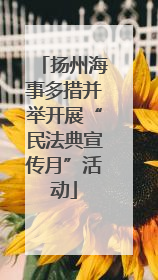 扬州海事多措并举开展“民法典宣传月”活动