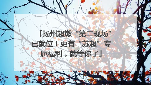 扬州超燃“第二现场”已就位！更有“苏超”专属福利，就等你了