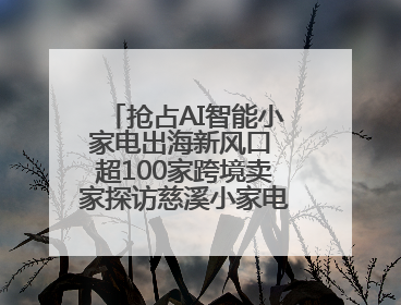 抢占AI智能小家电出海新风口 超100家跨境卖家探访慈溪小家电产业带