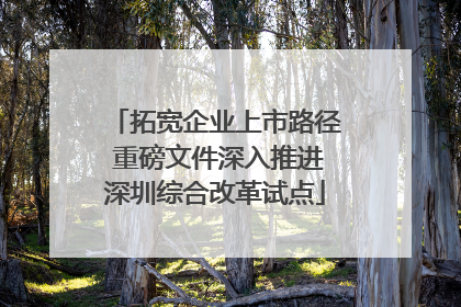 拓宽企业上市路径 重磅文件深入推进深圳综合改革试点