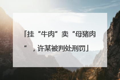 挂“牛肉”卖“母猪肉”，许某被判处刑罚