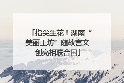 指尖生花！湖南“美丽工坊”随故宫文创亮相联合国