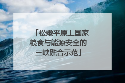 松嫩平原上国家粮食与能源安全的三峡融合示范