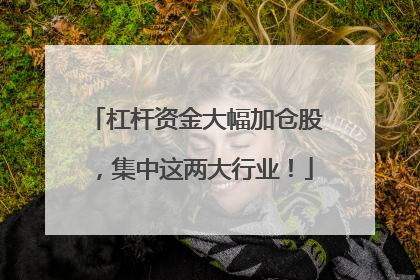 杠杆资金大幅加仓股，集中这两大行业！
