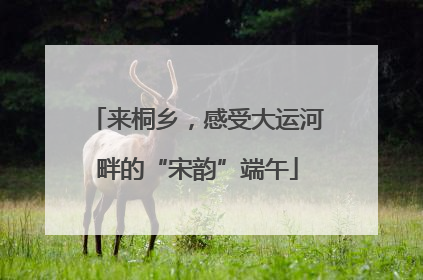 来桐乡，感受大运河畔的“宋韵”端午