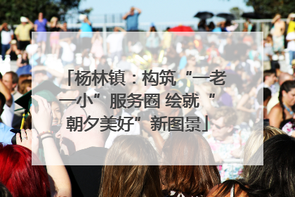杨林镇：构筑“一老一小”服务圈 绘就“朝夕美好”新图景