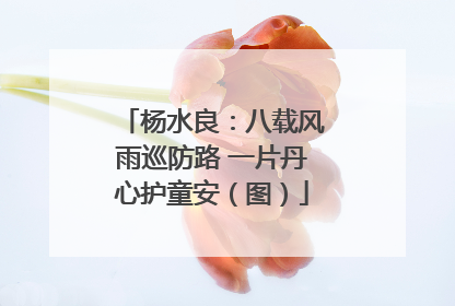 杨水良：八载风雨巡防路 一片丹心护童安（图）