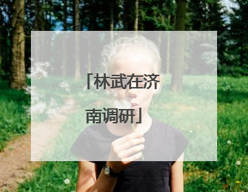 林武在济南调研