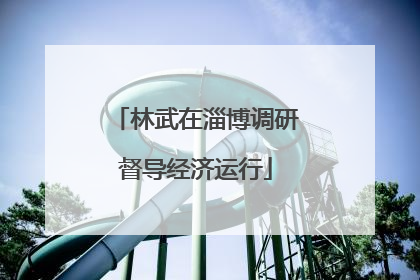 林武在淄博调研督导经济运行