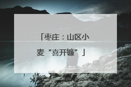 枣庄：山区小麦“喜开镰”
