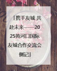携手友城 共赴未来——2025黄河口国际友城合作交流会侧记