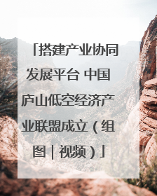 搭建产业协同发展平台 中国庐山低空经济产业联盟成立（组图｜视频）