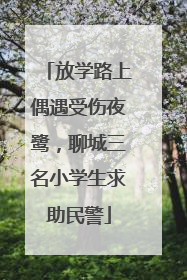 放学路上偶遇受伤夜鹭，聊城三名小学生求助民警