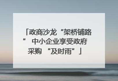 政商沙龙“架桥铺路” 中小企业享受政府采购 “及时雨”