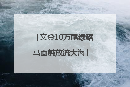 文登10万尾绿鳍马面鲀放流大海
