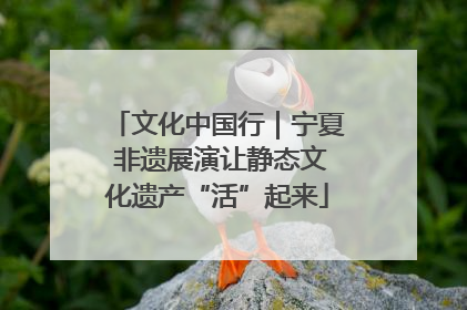 文化中国行｜宁夏 非遗展演让静态文化遗产“活”起来