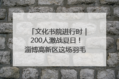 文化书院进行时｜200人激战夏日！淄博高新区这场羽毛球比赛太酷