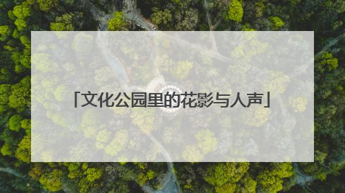 文化公园里的花影与人声