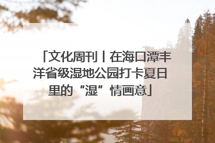 文化周刊丨在海口潭丰洋省级湿地公园打卡夏日里的“湿”情画意