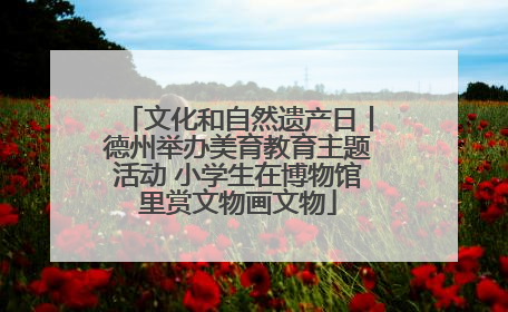 文化和自然遗产日丨德州举办美育教育主题活动 小学生在博物馆里赏文物画文物