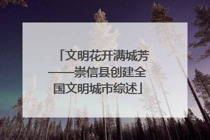 文明花开满城芳——崇信县创建全国文明城市综述