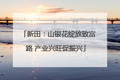 新田：山银花绽放致富路 产业兴旺促振兴