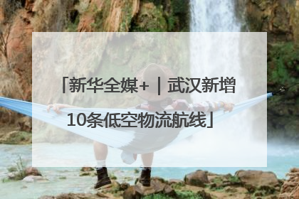 新华全媒+｜武汉新增10条低空物流航线