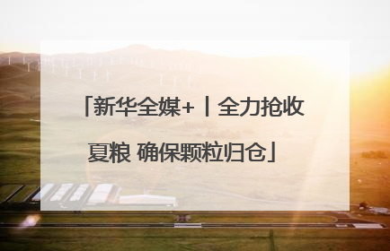 新华全媒+丨全力抢收夏粮 确保颗粒归仓