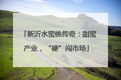 新沂水蜜桃传奇：甜蜜产业，“硬”闯市场