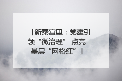 新泰宫里：党建引领“微治理” 点亮基层“网格红”