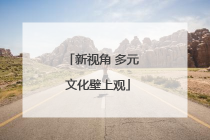 新视角 多元文化壁上观