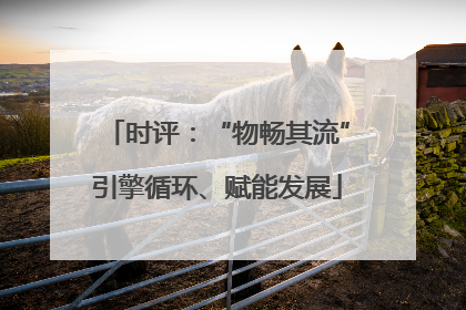 时评：“物畅其流”引擎循环、赋能发展