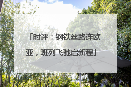 时评：钢铁丝路连欧亚，班列飞驰启新程