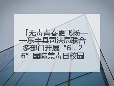 无毒青春更飞扬——东丰县司法局联合多部门开展“6．26”国际禁毒日校园宣讲活动