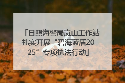 日照海警局岚山工作站扎实开展“碧海蓝盾2025”专项执法行动