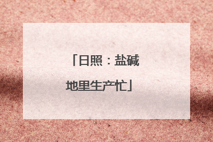 日照：盐碱地里生产忙