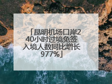 昆明机场口岸240小时过境免签入境人数同比增长977%
