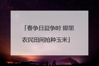 春争日夏争时 即墨农民田间抢种玉米