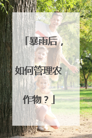 暴雨后，如何管理农作物？
