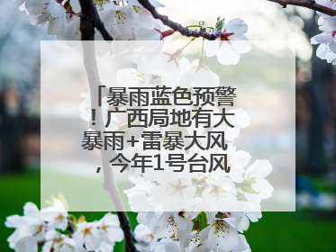 暴雨蓝色预警！广西局地有大暴雨+雷暴大风，今年1号台风最新消息……