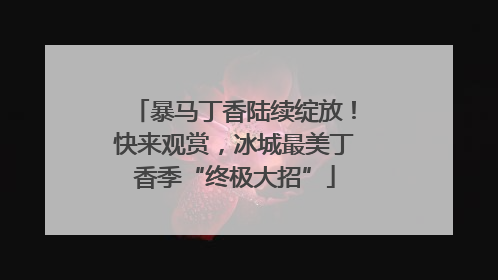 暴马丁香陆续绽放！快来观赏，冰城最美丁香季“终极大招”