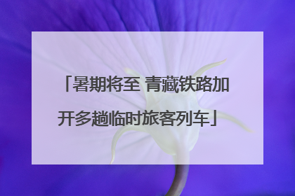 暑期将至 青藏铁路加开多趟临时旅客列车